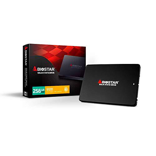 Biostar - Disco Duro SSD S120 (256 GB)