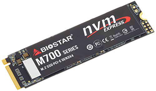 Disco Duro SSD Biostar M700 256 GB - M.2 NVMe Tipo 2280