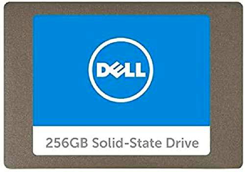 Dell A9794105 Unidad de Estado sólido 256 GB SATA - Disco Duro sólido (256 GB)