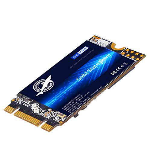 SSD M.2 2242 60GB Ngff Dogfish Unidad De Estado Sólido Incorporada Altura de Alta Velocidad Unidad de Disco Duro de Alto Rendimiento para computadora portátil de Escritorio SSD (60GB, M.2 2242)