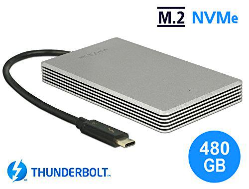 DeLock Thunderbolt 3 - Disco Duro Externo portátil de 480 GB SSD M.2 PCIe NVMe