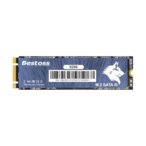 Bestoss SSD M.2 SATA de 1 TB