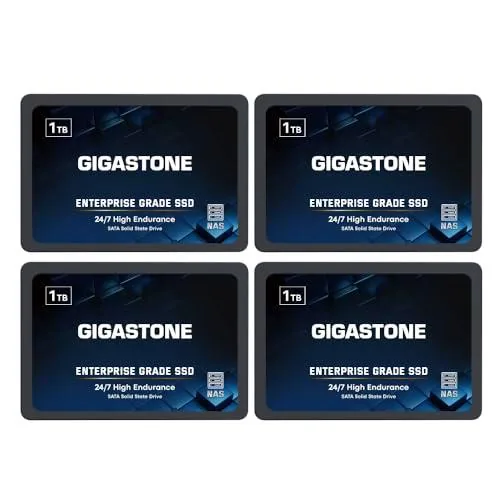 Gigastone Enterprise - SSD NAS de 1 TB (paquete de 4) 24/7