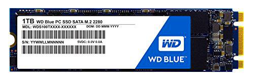 Western Digital Blue SSD M.2 - Disco Duro sólido de 1 TB (SATA III 6Gb/s