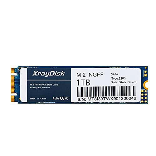 XrayDisk SSD de 1TB com SLC Cache 3D NAND TLC M.2 2280 SATA III 6 GB/s Internal Solid State Drive SSD (Read/Write Speed up to 530/480 MB/s) 1000 GB compatível com Laptop e PC Desktop (1 TB, Xray A)