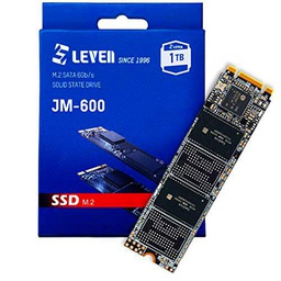 LEVEN SSD M.2 1TB JM600 Retail