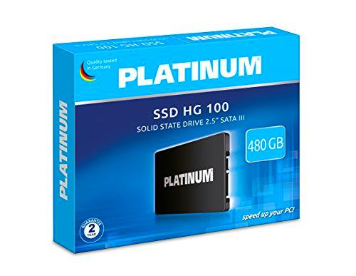 Platinum HG 100 - Disco Duro Interno SSD de 2,5" (480 GB