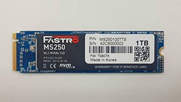 Mega Fastro MS250100TTS - MS 250-1 TB Terrabyte M.2 NVMe SSD Interno