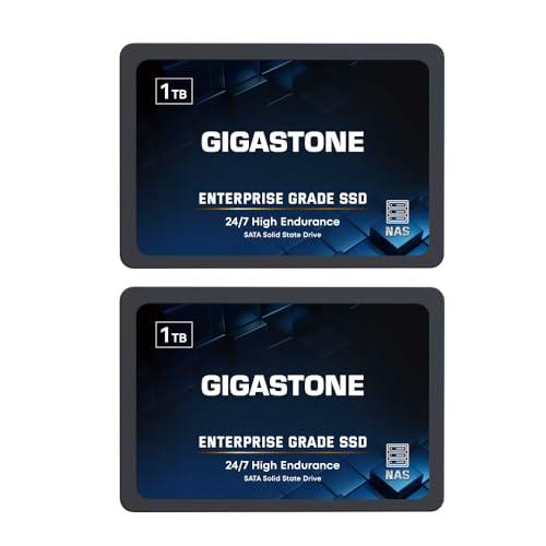 Gigastone Enterprise SSD 1TB NAS SSD caché (Paquete de 2) TLC 24/7 elevadas Resistencia empresarial Servidor centros de Datos Raid Almacenamiento Conectado a la Red 2.5" SATA Interna Disco Duro ssd