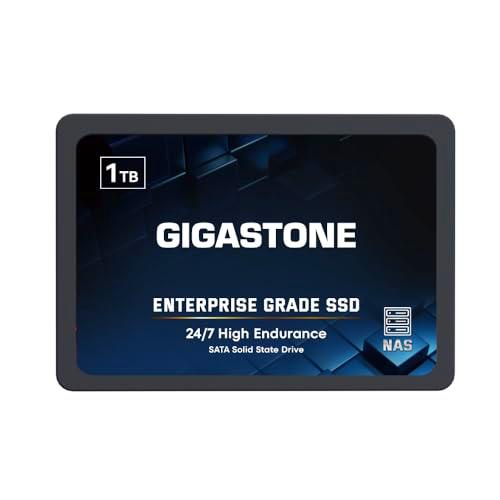 Gigastone Enterprise SSD 1TB NAS SSD caché TLC 24/7 elevadas Resistencia empresarial Servidor centros de Datos Raid Almacenamiento Conectado a la Red 2.5" SATA Interna Disco Duro ssd
