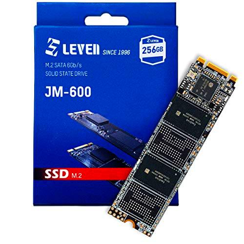 Leven SSD M.2 256GB JM600 Retail